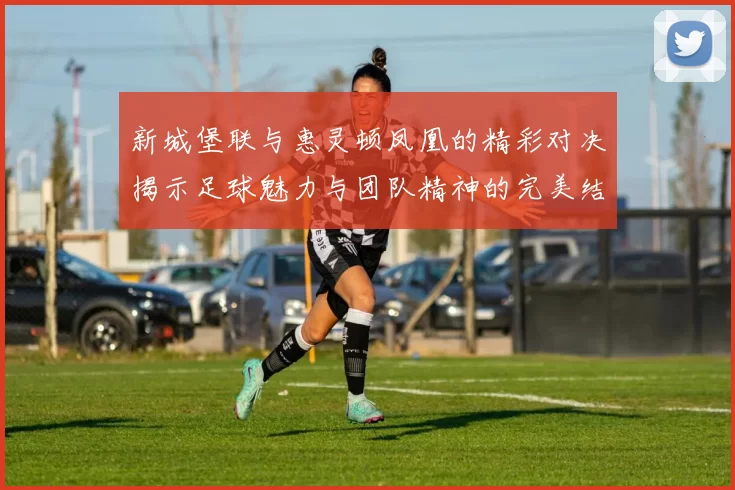 新城堡联与惠灵顿凤凰的精彩对决揭示足球魅力与团队精神的完美结合