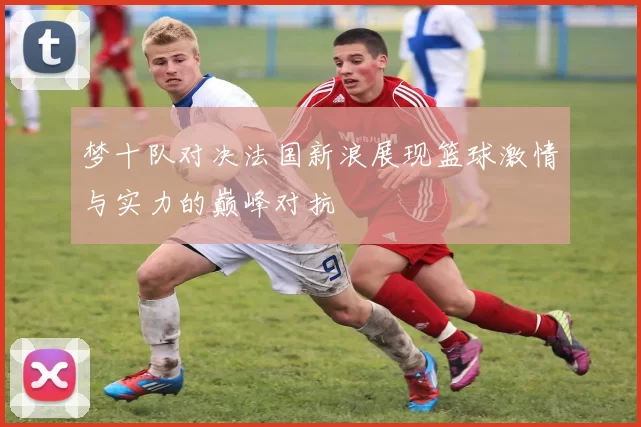 梦十队对决法国新浪展现篮球激情与实力的巅峰对抗